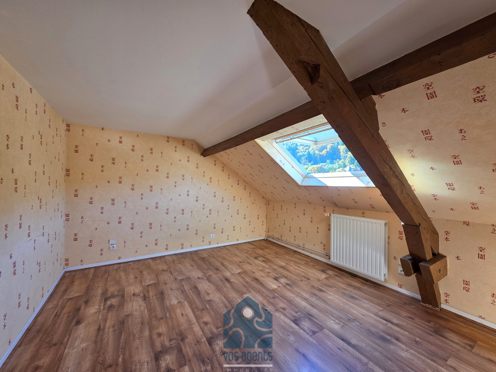 Image_, Maison, Mont-Dore, ref :1084