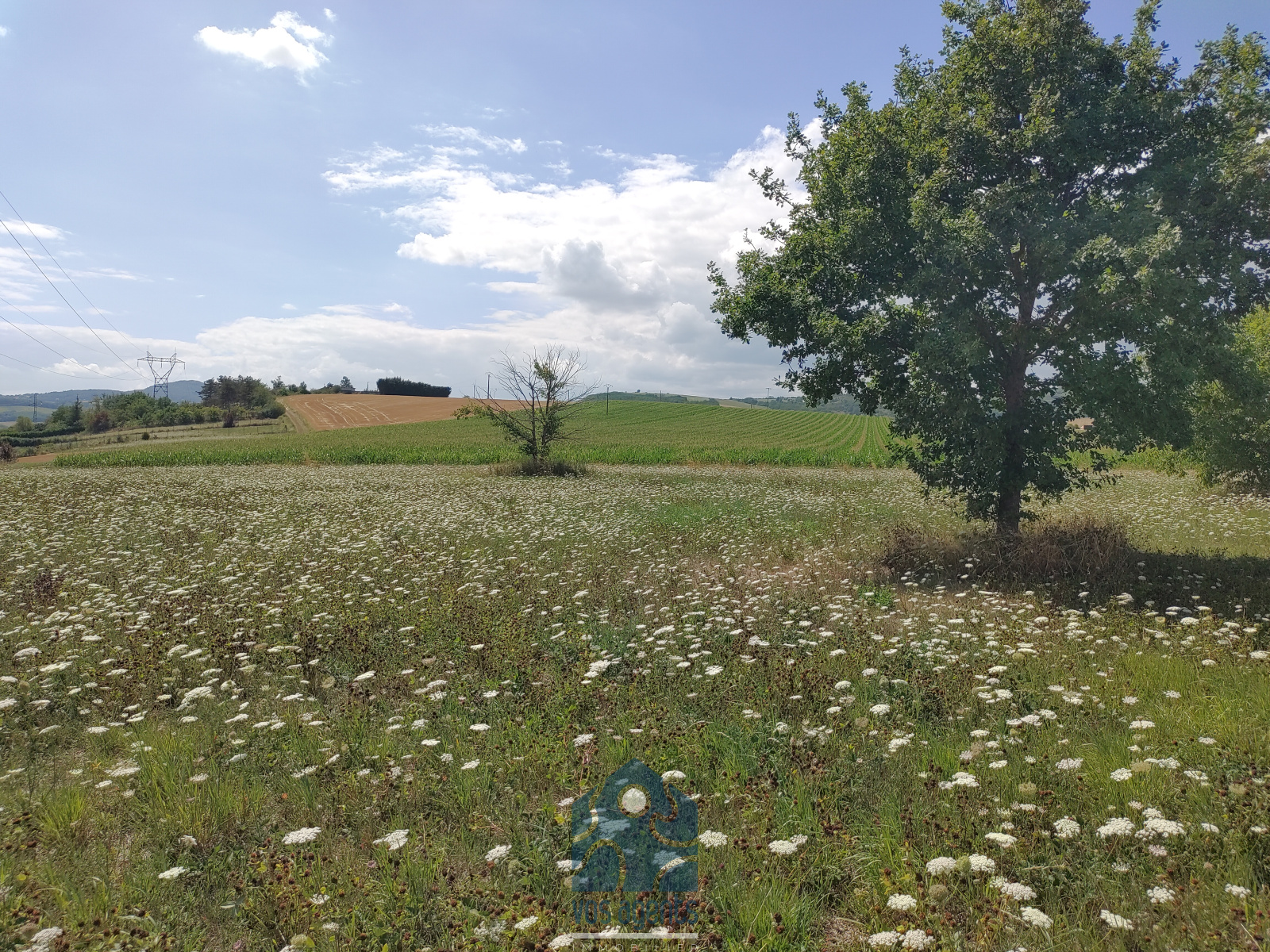 Image_, Terrain à batir, Issoire, ref :999