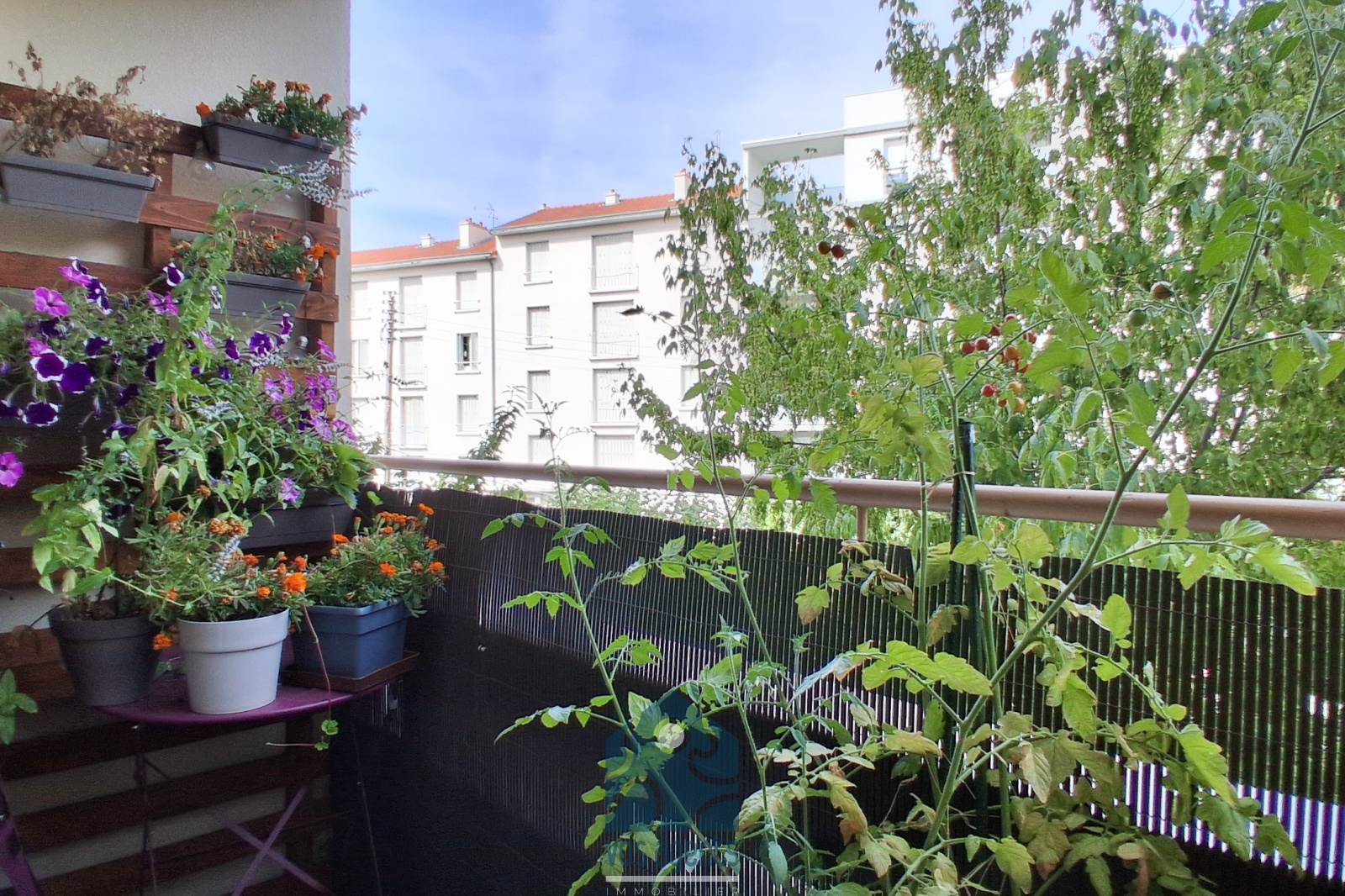 Image_, Appartement, Clermont-Ferrand, ref :1382