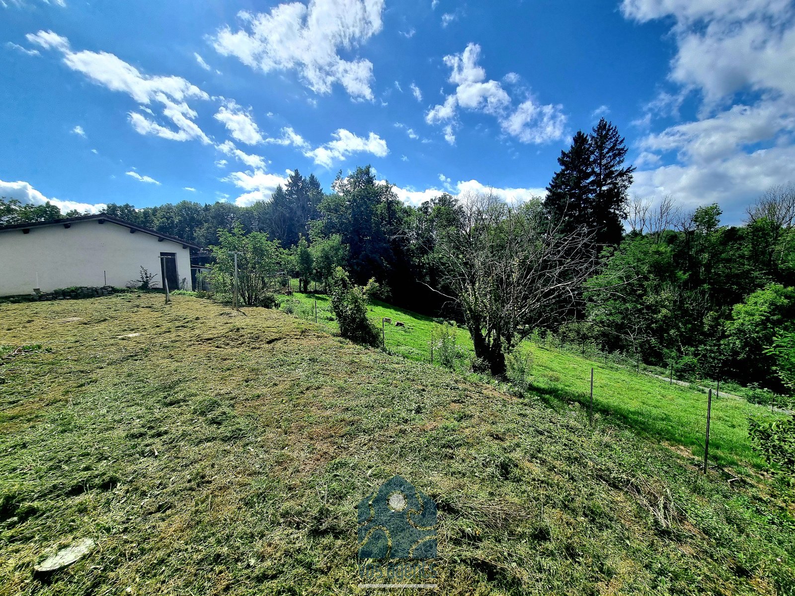 Image_, Maison, Augerolles, ref :1065