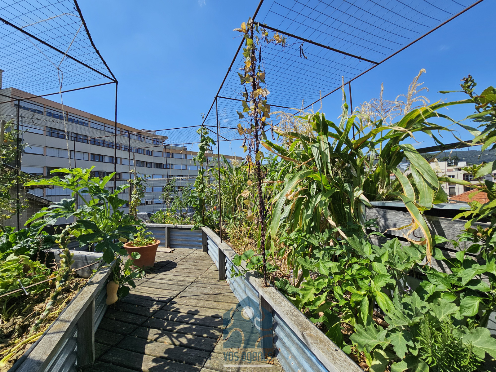 Image_, Maison, Clermont-Ferrand, ref :992