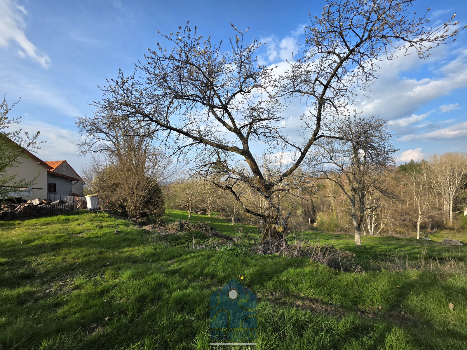 Image_, Maison, Échassières, ref :1227